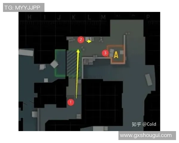 CSGO赛事分析LNG区域防守策略的优劣势探讨与总结 CSGO赛事分析LNG区域防守策略的优劣势探讨与总结